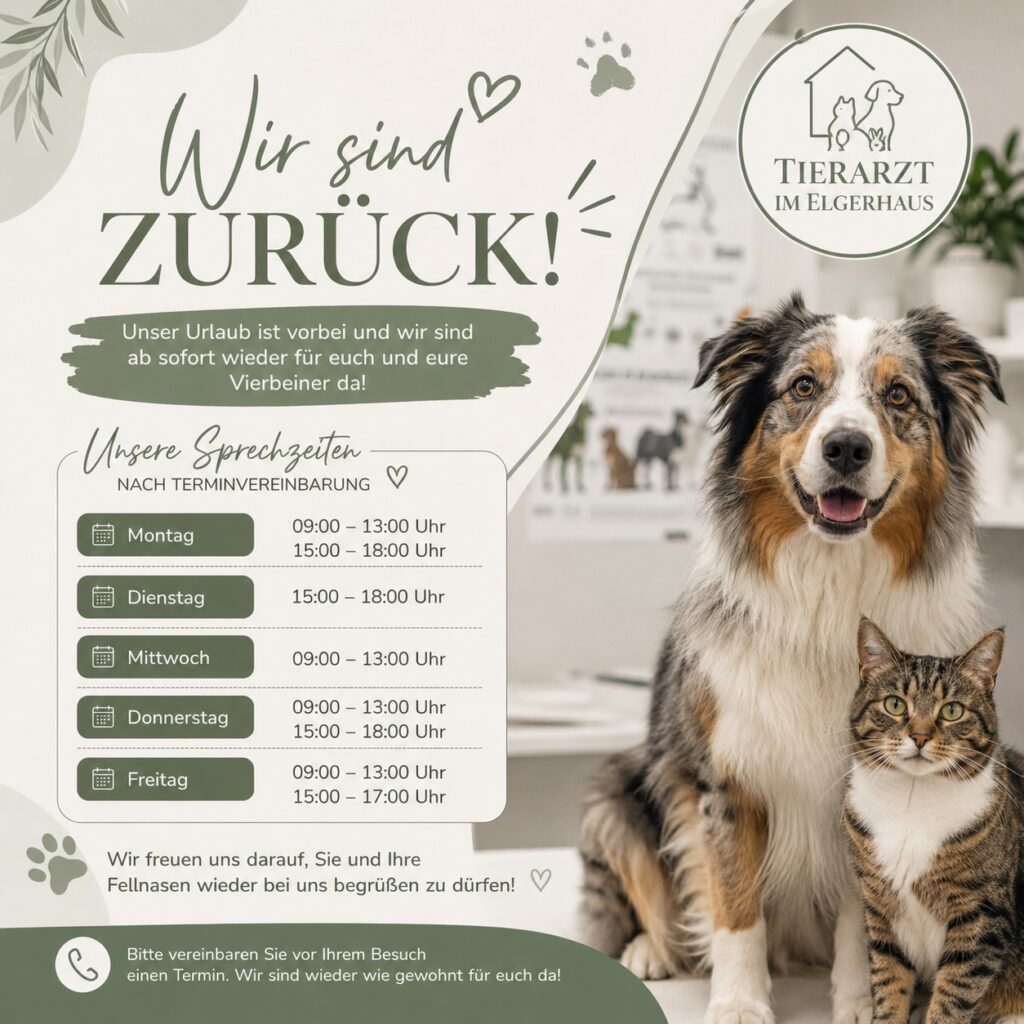 Instagram post from tierarzt_im_elgerhaus. This post is in position 2.