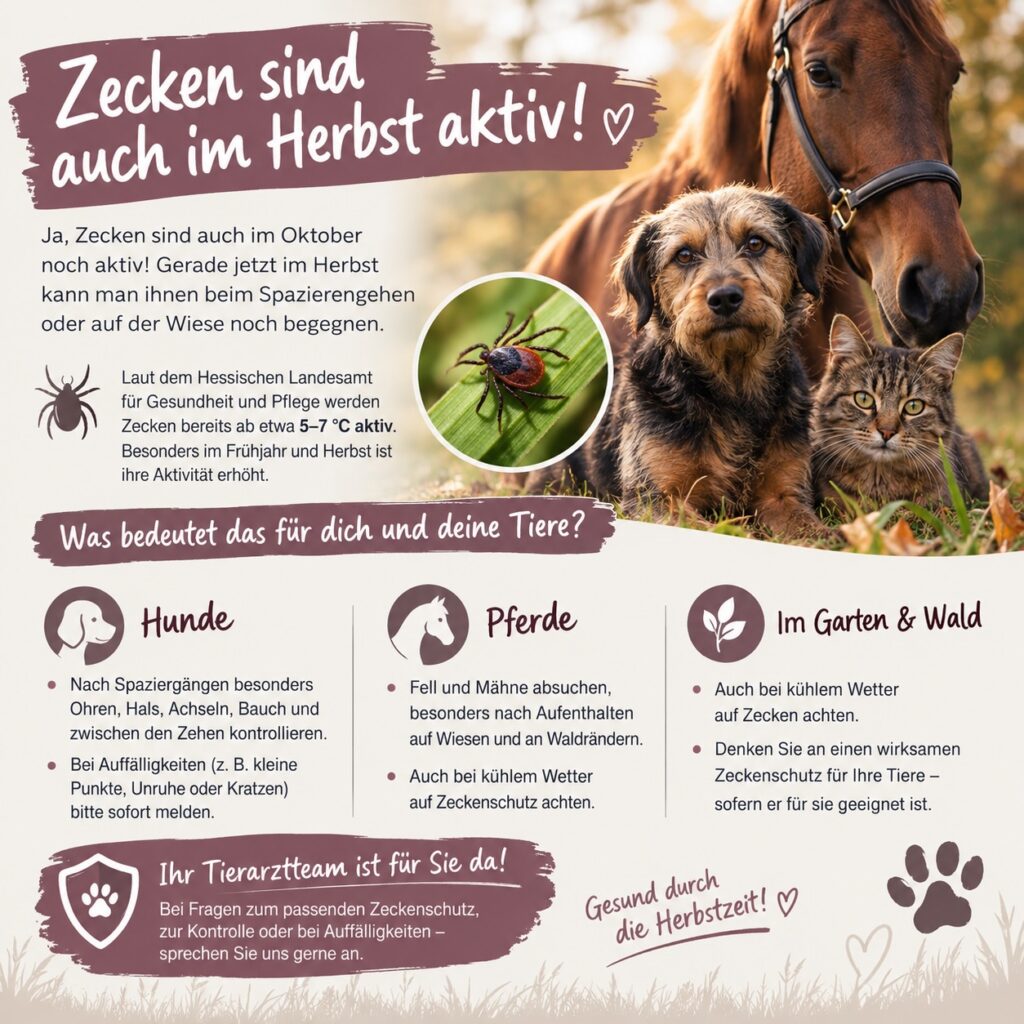 Instagram post from tierarzt_im_elgerhaus. This post is in position 1.