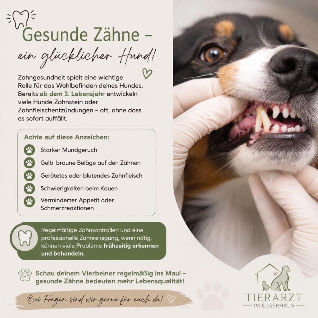 Instagram post from tierarzt_im_elgerhaus. This post is in position 1.