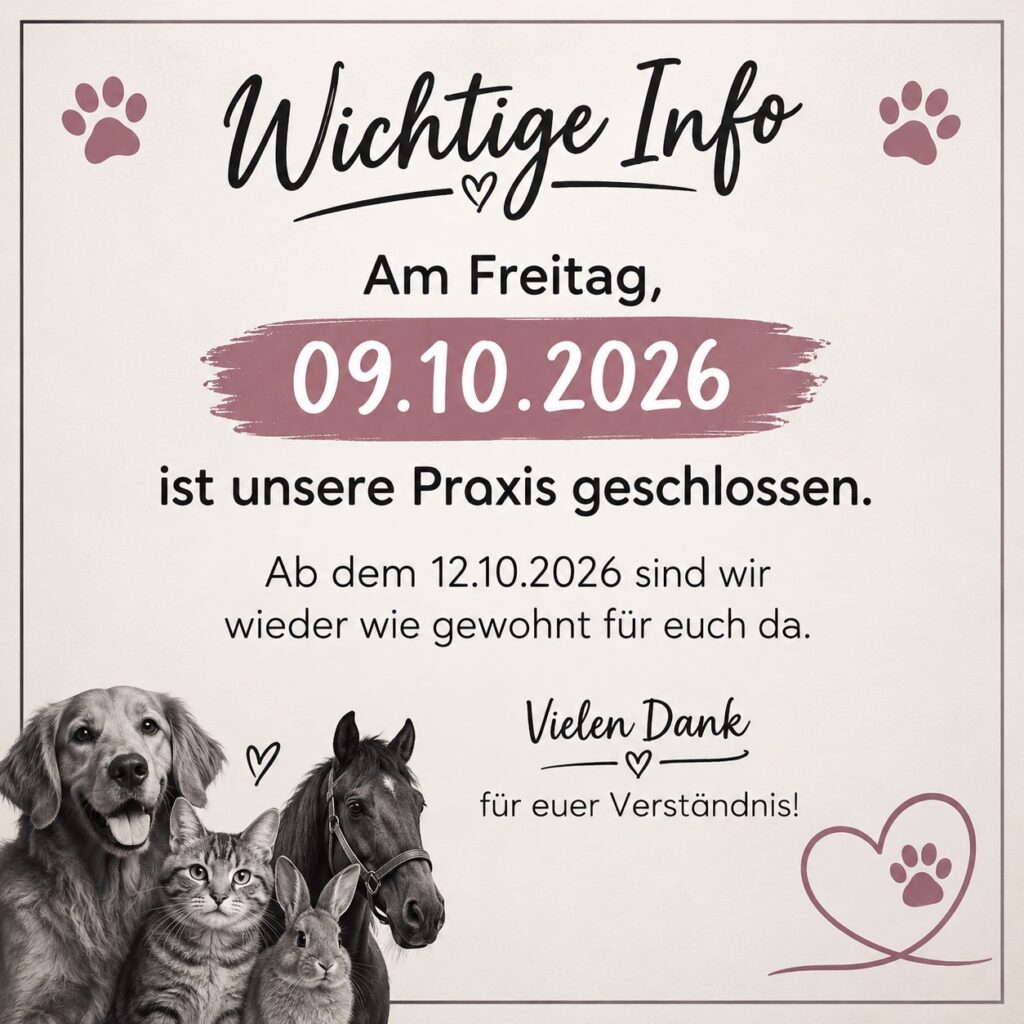 Instagram post from tierarzt_im_elgerhaus. This post is in position 1.
